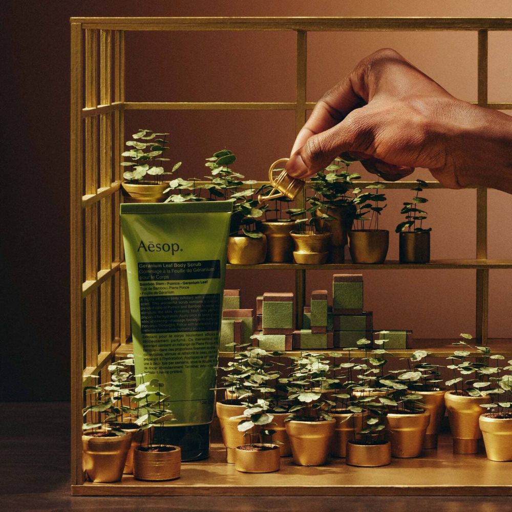 Aesop Party In The Greenhouse