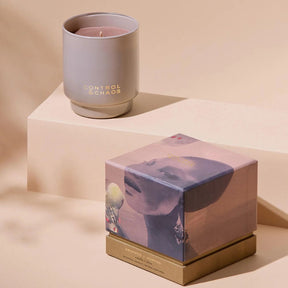 Control & Chaos Dropped + Mopped Scented Candle